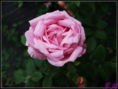 DSCF3759.jpg