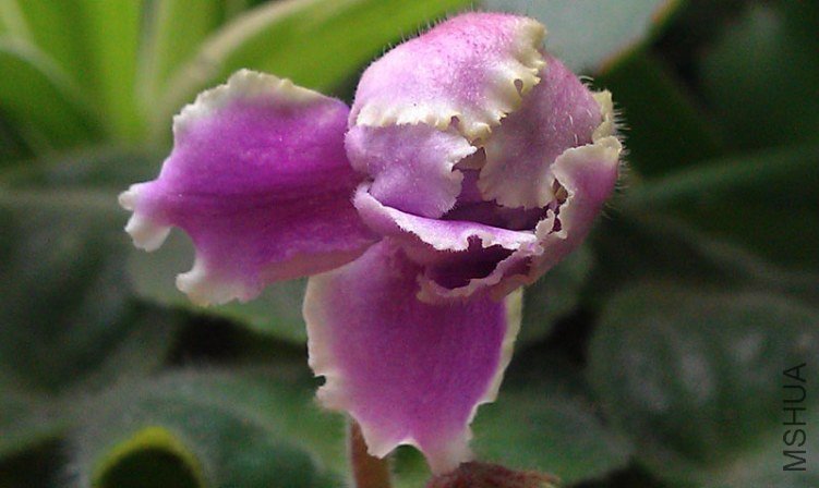IMAG1343.jpg