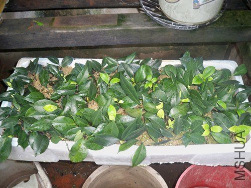 �����5��21����