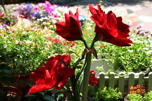 ��Ƭ 001_����.jpg