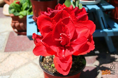 ��Ƭ 002_����.jpg