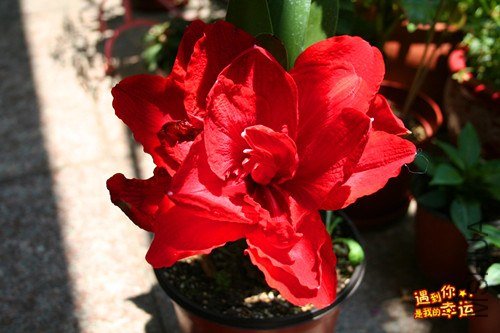 ��Ƭ 005_����.jpg