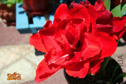 ��Ƭ 006_����.jpg