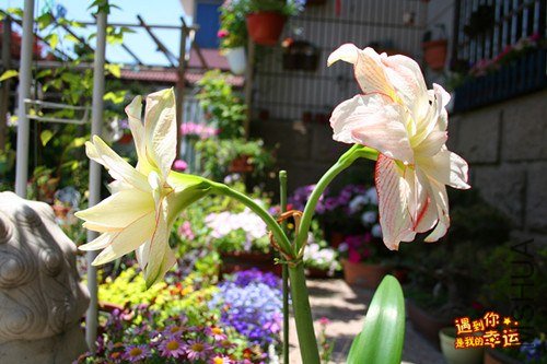 ��Ƭ 010_����.jpg