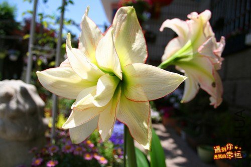 ��Ƭ 012_����.jpg