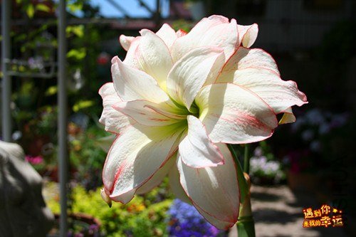 ��Ƭ 013_����.jpg