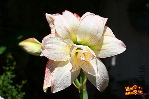 ��Ƭ 014_����.jpg