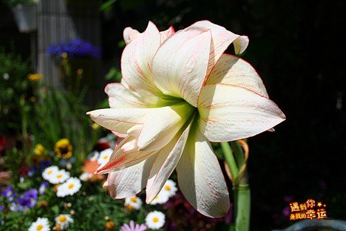 ��Ƭ 017_����.jpg