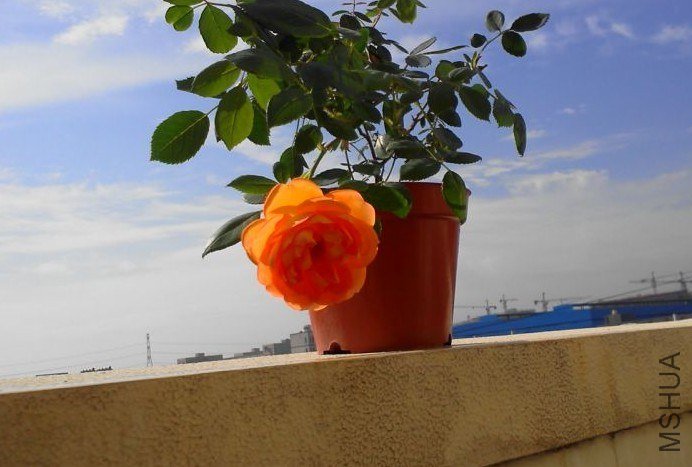 QQͼƬ20130521152534.jpg