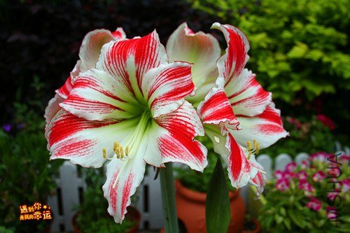 ��Ƭ 001_����.jpg