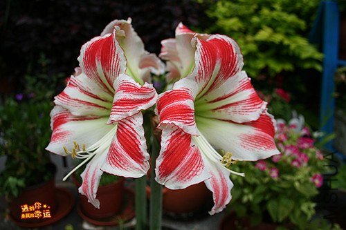 ��Ƭ 003_����.jpg