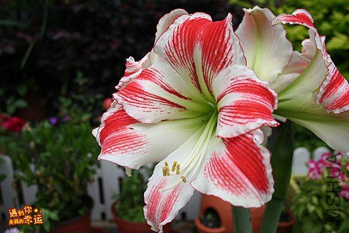 ��Ƭ 005_����.jpg