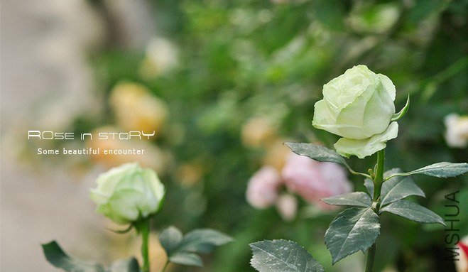 garden mother day6.jpg