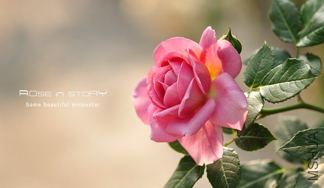 garden mother day7.jpg