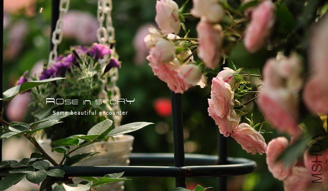 garden mother day8.jpg