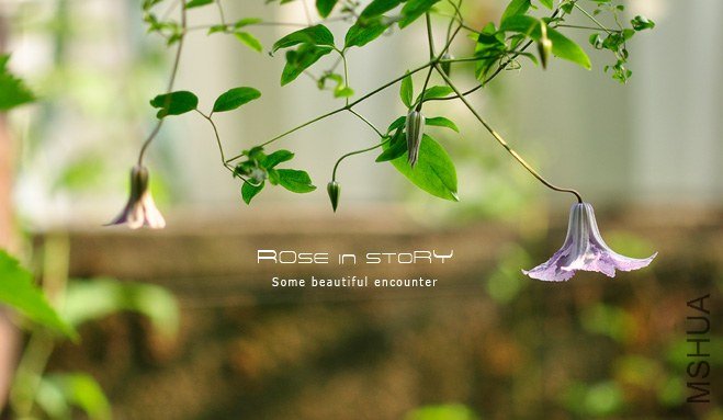 garden mother day12.jpg