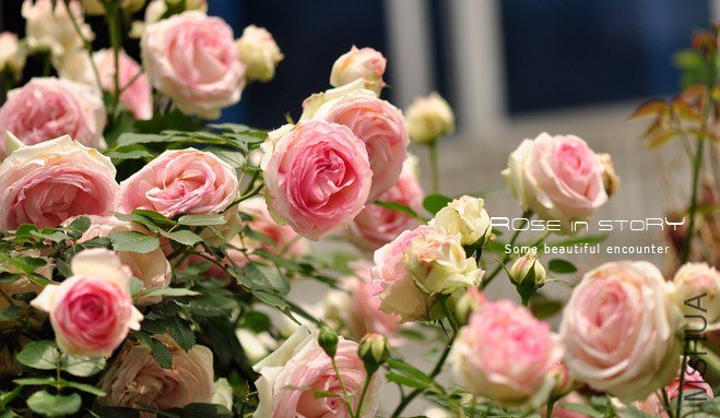garden mother day15.jpg