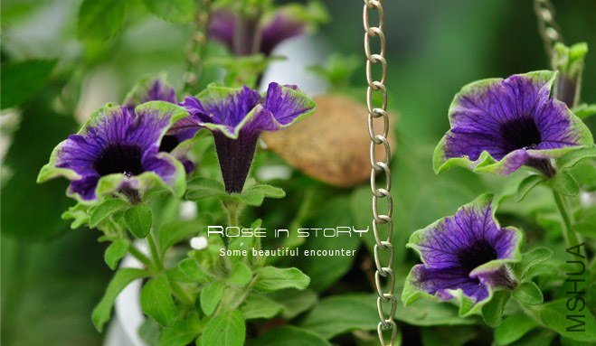 garden mother day25.jpg