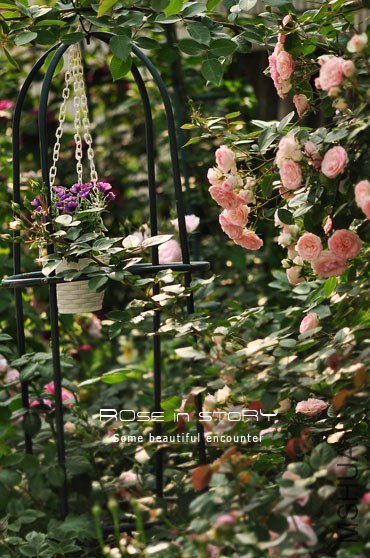 garden mother day39.jpg