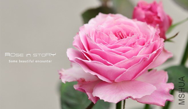 Forbidden Parfum16.jpg