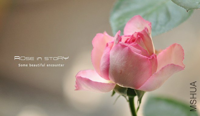 aromatischen Hypnose �������.jpg