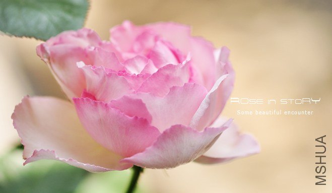 aromatischen Hypnose �������5.jpg
