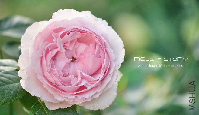 ���륬��ƥ��`�� ��ܽ ����ŵ����3.jpg