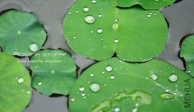 RAINYday5.jpg