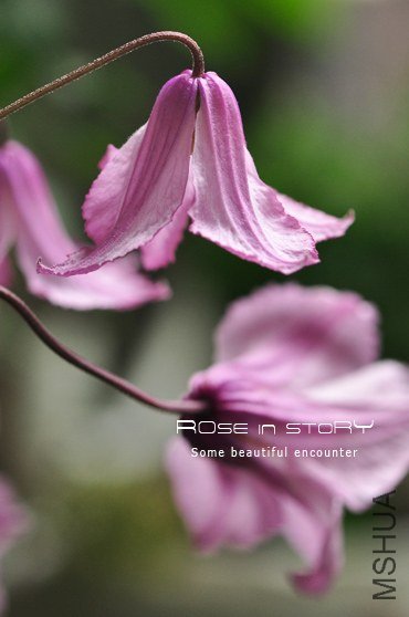 RAINYday13.jpg