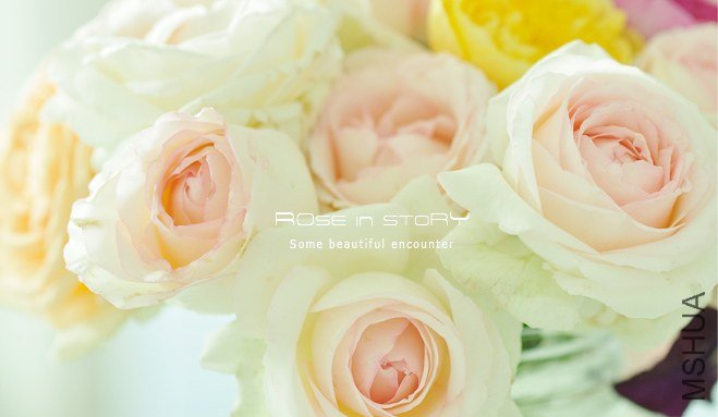 rose4.jpg