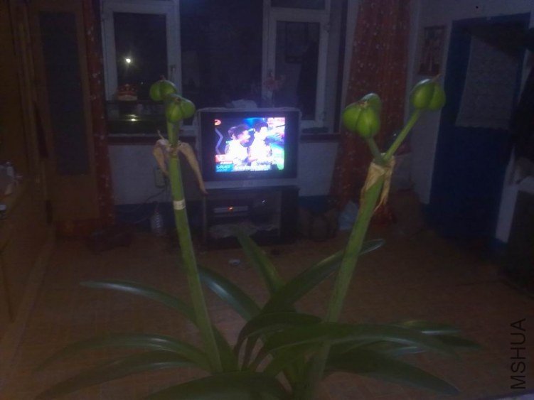 20130504215 .jpg
