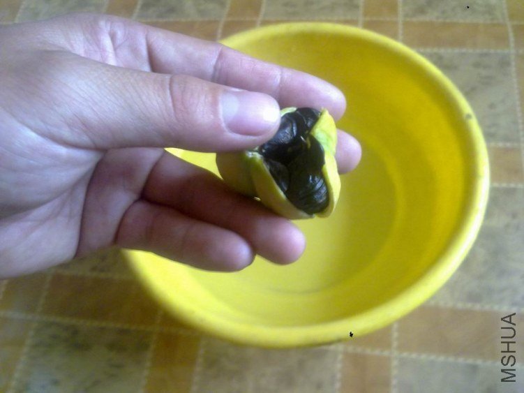 20130522053 .jpg