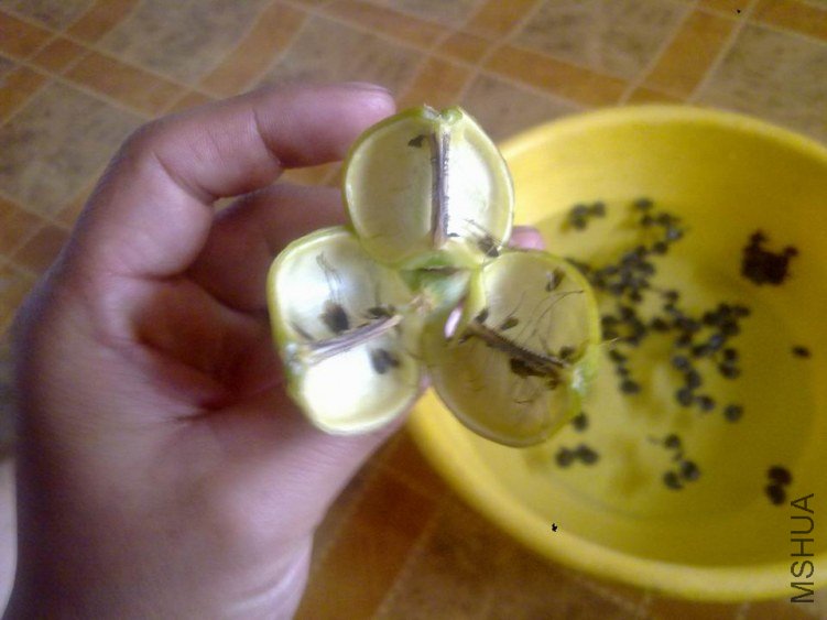 20130522055 .jpg