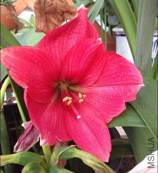 QQͼƬ20130522093839.jpg