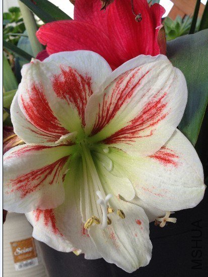 QQͼƬ20130522094029.jpg