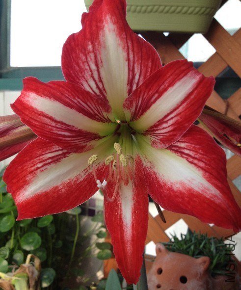 QQͼƬ20130522094106.jpg