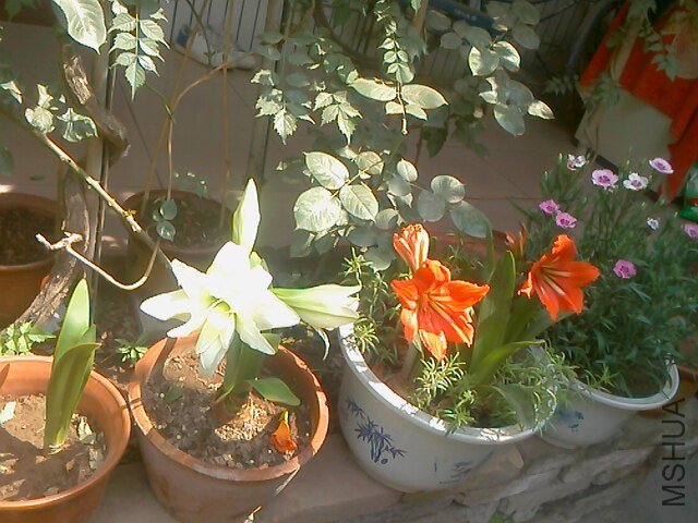 IMG0522103000.jpg