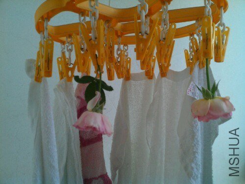IMG20130522110327.jpg