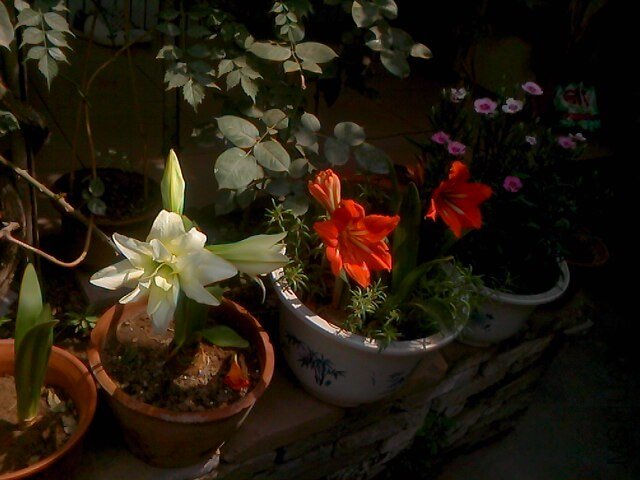 IMG0522103100.jpg