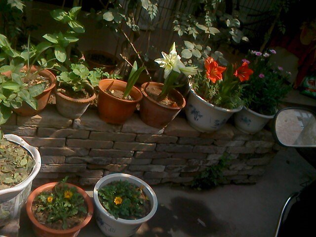 IMG0522103101.jpg