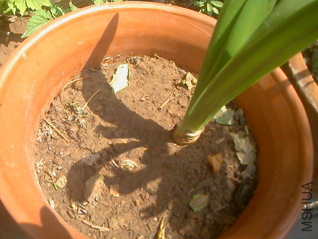 IMG0522103001.jpg
