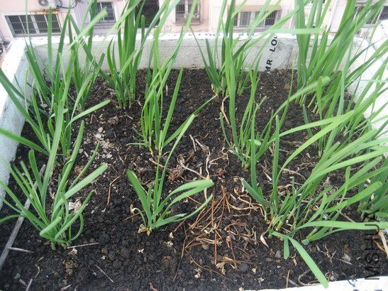 ��һ�ܿ��ԳԵ�