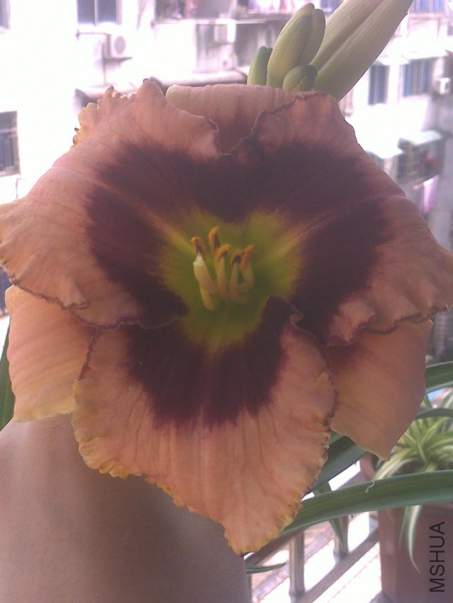 201305221224.jpg