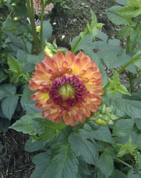 ΢�������ͼ_20130522131331.jpg