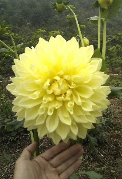 ΢�������ͼ_20130522131350.jpg