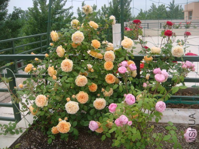 DSC06872.JPG