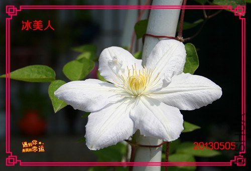 ��Ƭ 166_����.jpg