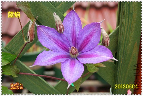 ��Ƭ 167a_����.jpg