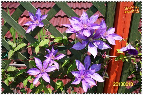 ��Ƭ 167b_����.jpg