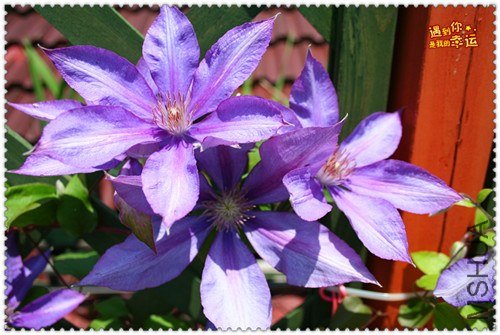 ��Ƭ 167c_����.jpg